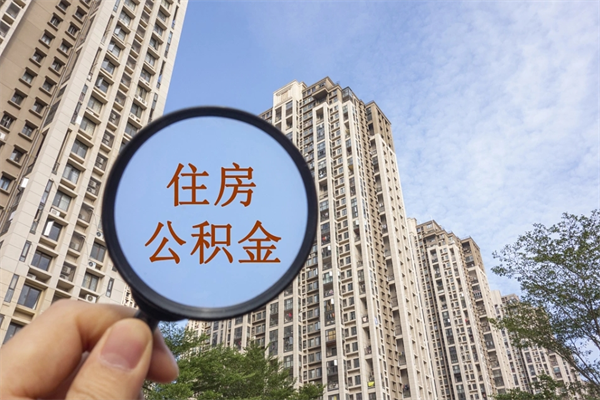 寿光辞职了补充公积金能取不（辞职后补充公积金如何提取）